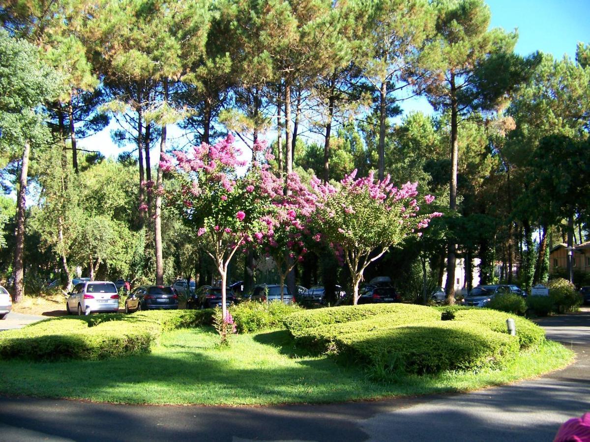 Jolie Petite Maison A Vieux Boucau Avec Piscine Chauffee - Domaine Du Golf De Pinsolle Soustons Kültér fotó